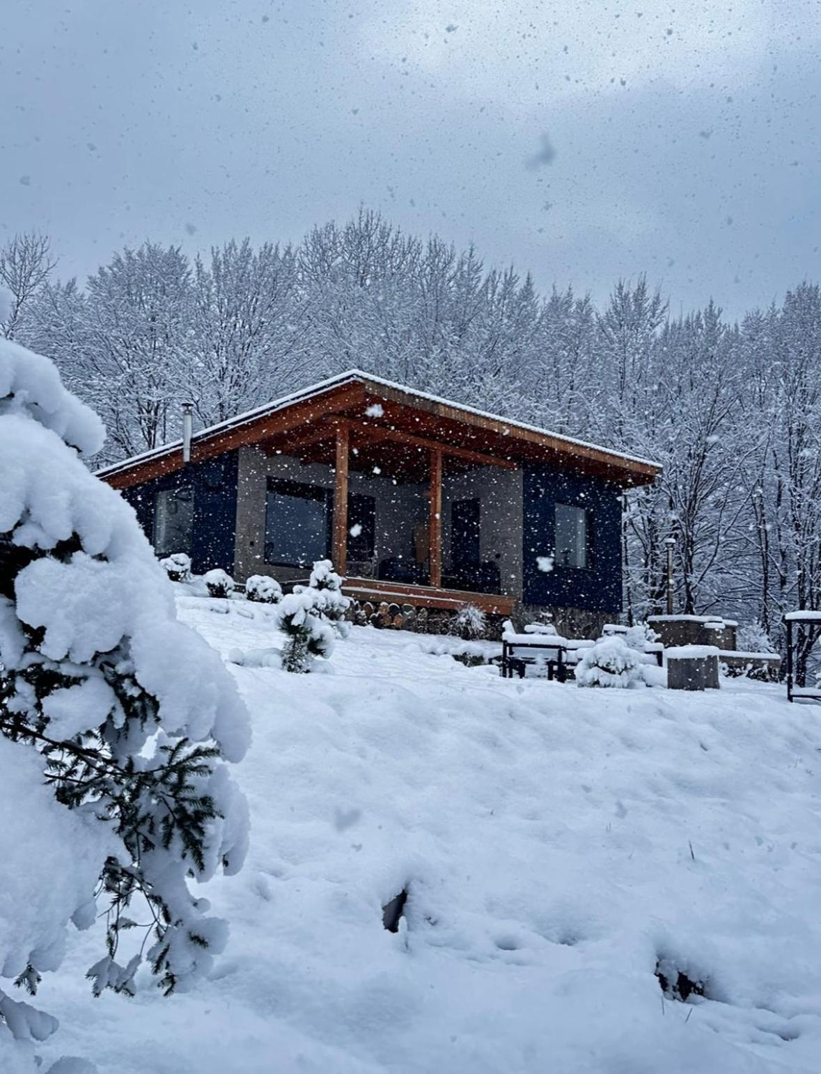 Гірські Будиночки Villa Zhdeniievo Exterior photo